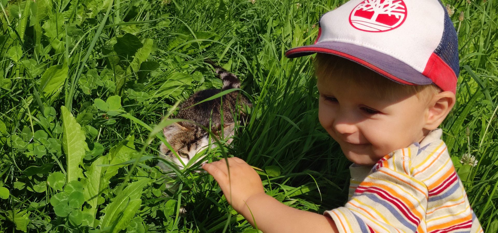 familienferien leimgruberhof terenten suedtirol familienferien leimgruberhof terenten suedtirol