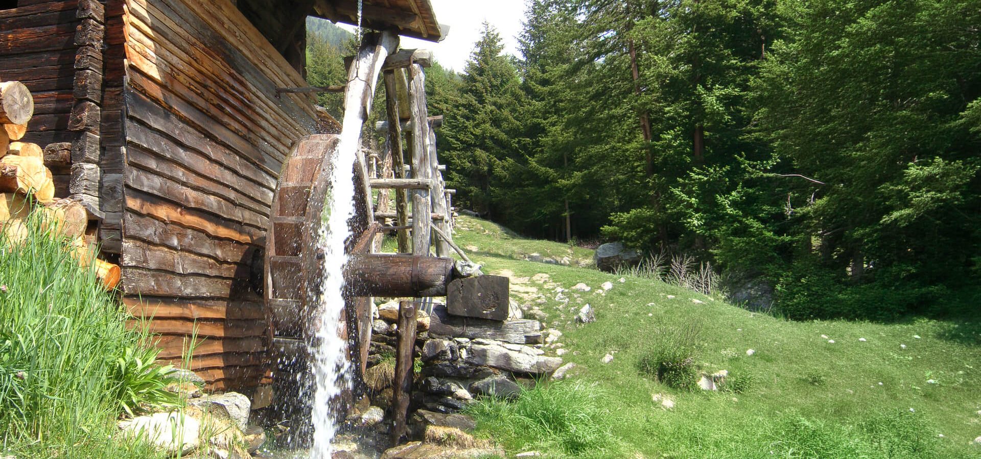 Leimgruber Urlaub am Bauernhof16 Leimgruber Urlaub am Bauernhof16